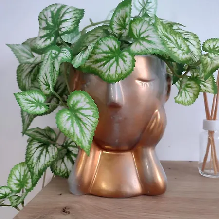 Stan Na Dan Paradiso Appartement *